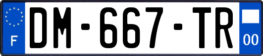 DM-667-TR