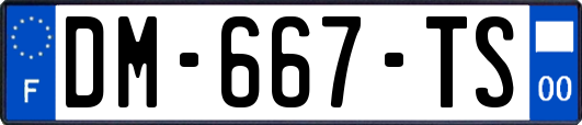 DM-667-TS