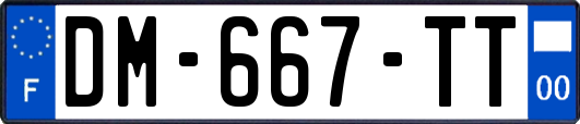 DM-667-TT