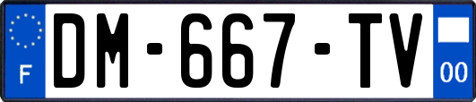 DM-667-TV