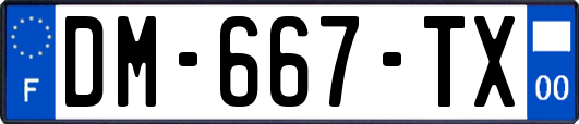 DM-667-TX