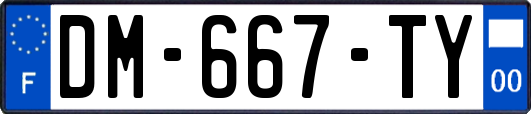 DM-667-TY