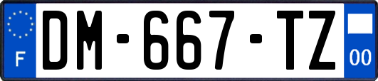 DM-667-TZ