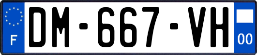 DM-667-VH