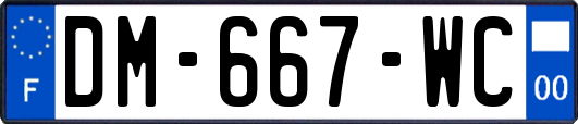 DM-667-WC