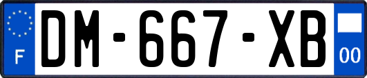 DM-667-XB