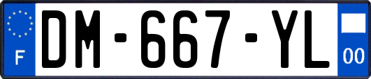 DM-667-YL