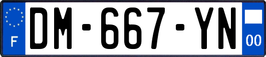 DM-667-YN