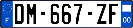 DM-667-ZF