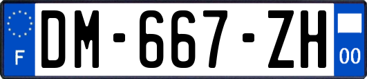 DM-667-ZH