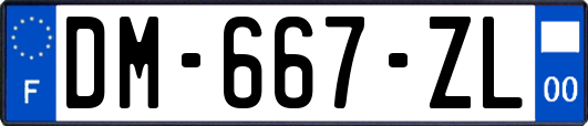 DM-667-ZL