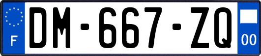 DM-667-ZQ