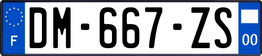 DM-667-ZS