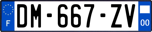 DM-667-ZV