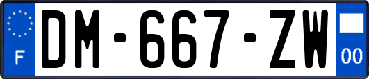 DM-667-ZW