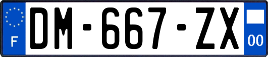 DM-667-ZX