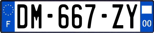 DM-667-ZY