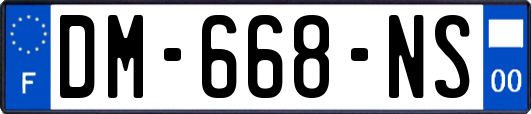 DM-668-NS