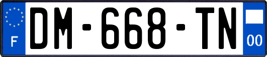 DM-668-TN