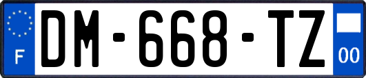 DM-668-TZ