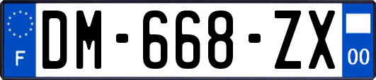 DM-668-ZX