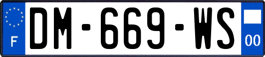 DM-669-WS