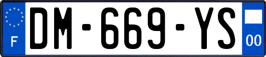 DM-669-YS