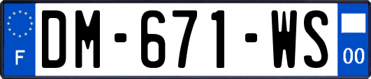 DM-671-WS