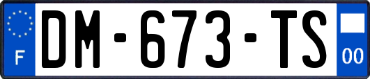 DM-673-TS