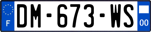 DM-673-WS