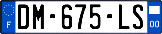 DM-675-LS