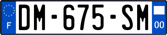 DM-675-SM