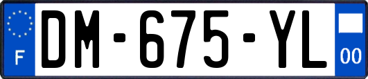 DM-675-YL