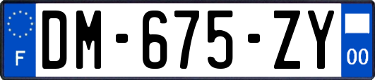 DM-675-ZY