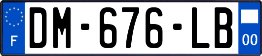 DM-676-LB