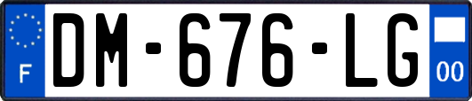 DM-676-LG