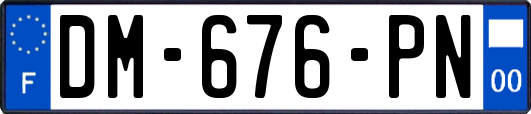 DM-676-PN