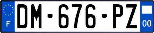 DM-676-PZ