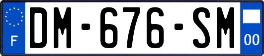 DM-676-SM