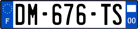 DM-676-TS