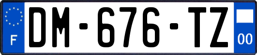DM-676-TZ