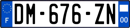 DM-676-ZN