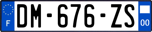 DM-676-ZS