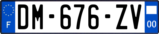 DM-676-ZV