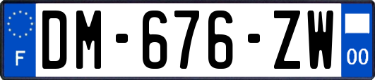 DM-676-ZW