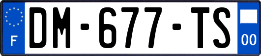 DM-677-TS