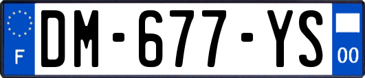 DM-677-YS