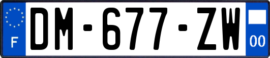 DM-677-ZW