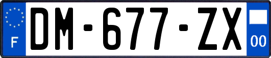 DM-677-ZX