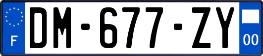 DM-677-ZY